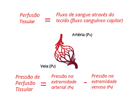 A perfus&atilde;o adequada requer press&atilde;o arterial e d&eacute;bito card&iacute;aco (DC) adequados